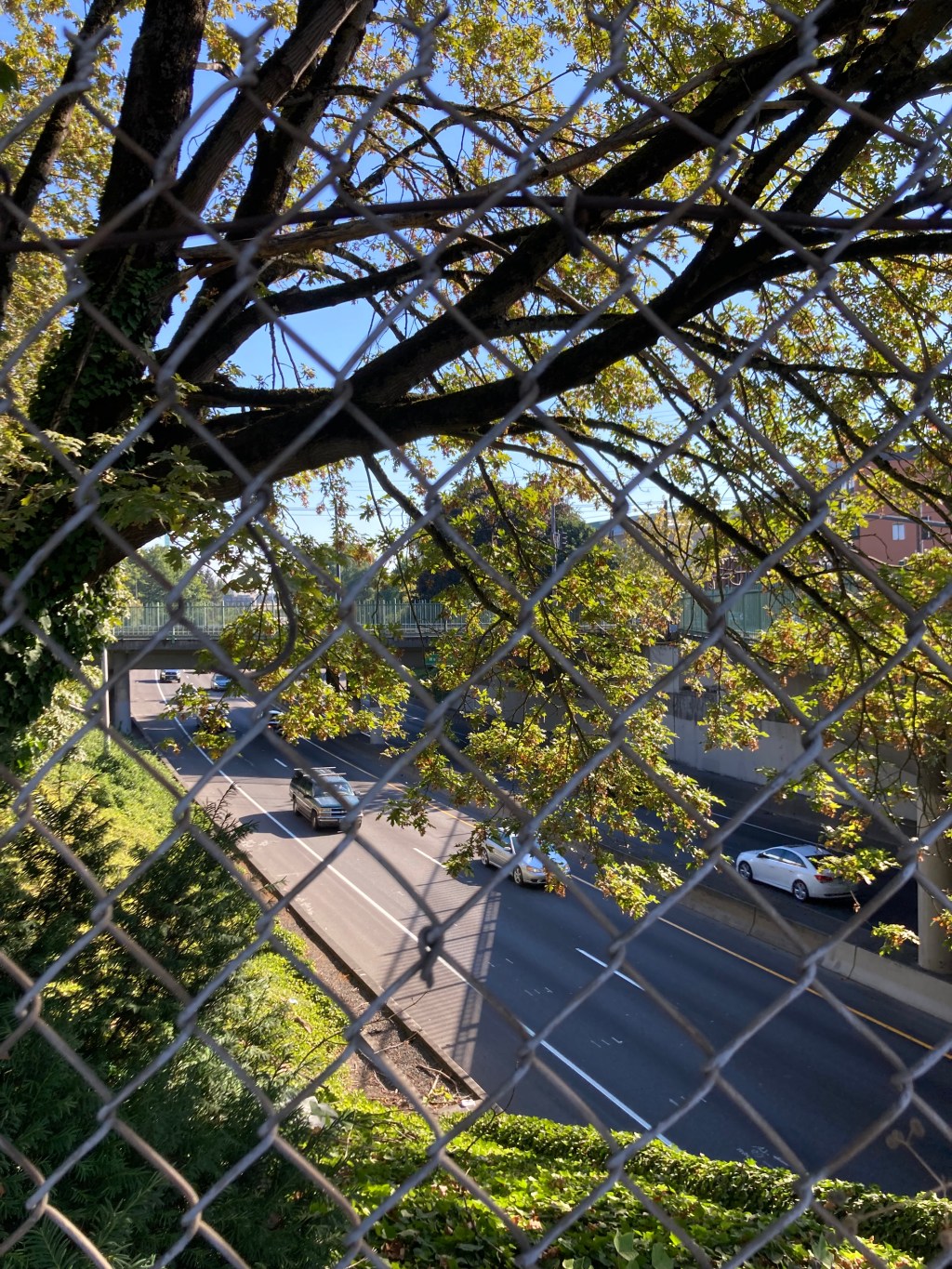 The I5 Rose Quarter Project is a&nbsp;Sham