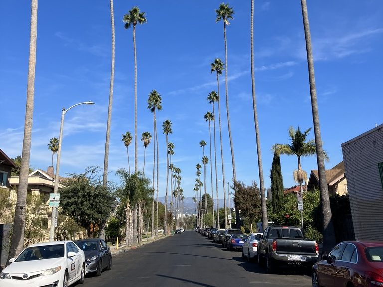 Natural Disasters, Redlining, and The&nbsp;Future