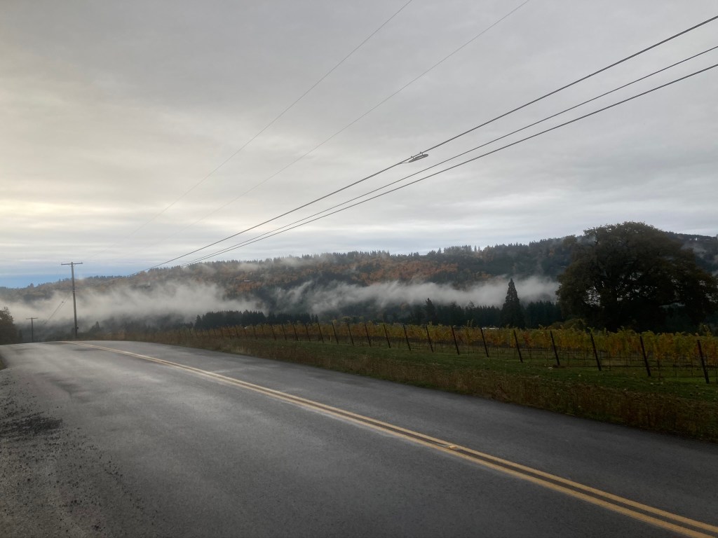 Oregon High Speed Rail – Branching&nbsp;Out