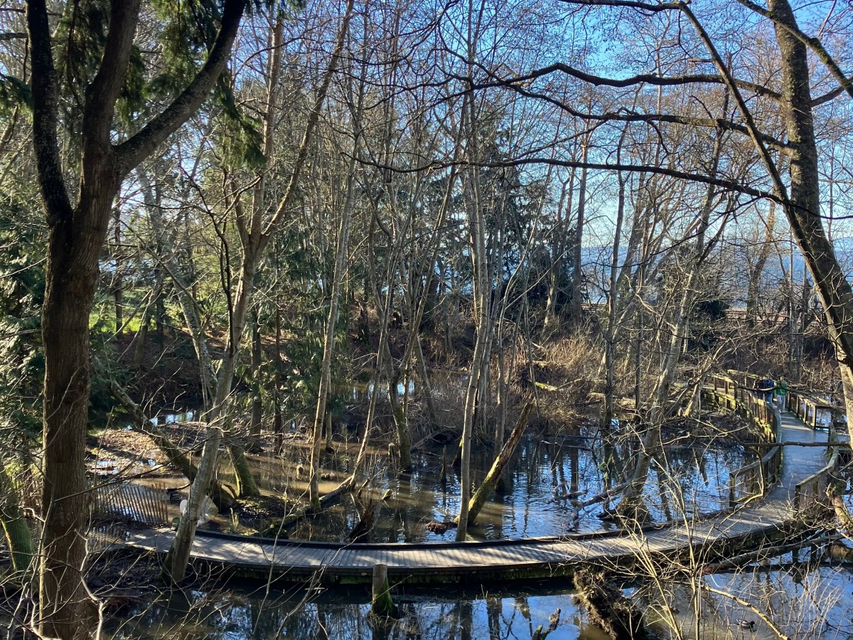 A Short Guide to Seattle Parks by&nbsp;Bus